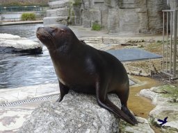 Tiergarten Schönbrunn am 24.02.2026